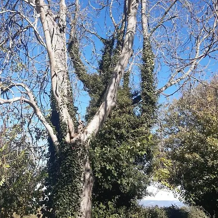 Pazo San Lorenzo- Puebla De *