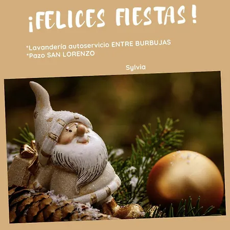 Pazo San Lorenzo- Puebla De *